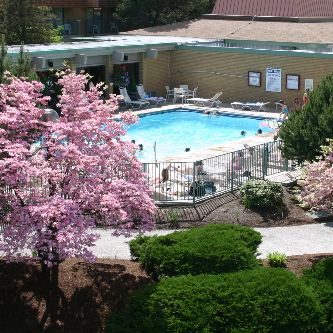 Mirabeau Park Hotel & Convention Center Spokane Valley pool and cherry blossoms